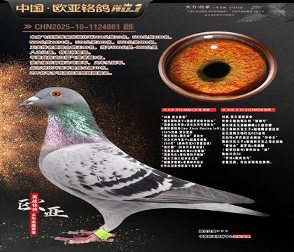 ����ԭ��220X���������۴�003