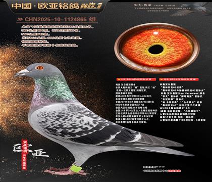 ����ԭ�������851X03����608