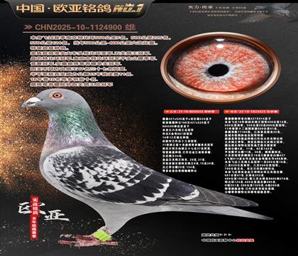 ղɭ�������555Xղɭ914ֱ��Ů625