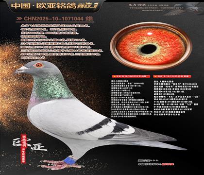 �Ǳ�ԭ��³��ֱ��129X�����165