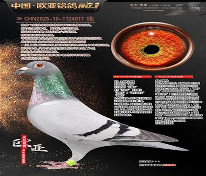 �Ǳ�.�����ɱ�ԭ��998X199