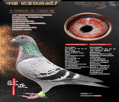 ���ºض���˹ԭ��851X895