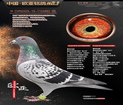 ��ƿ�ԭ�ᡰ����˼�顱788X��ϣ����672