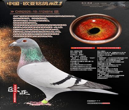 �Ǳ�.�����ɱ�ԭ��998X199