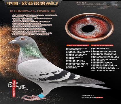 ղɭ919ֱ��603Xΰ��ڰ�281