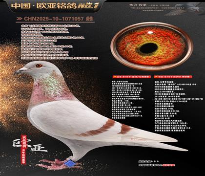 �Ͽ˷��ǲ���ԭ��387X401���ض�