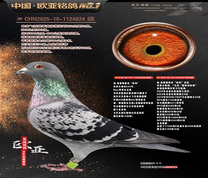 ��.����˹ԭ�ᡰ������638X��������367