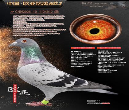 ����ԭ��������855X�Ͽ�������������019