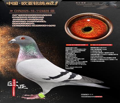 ��˹�ٷ����߶�ԭ��651X999