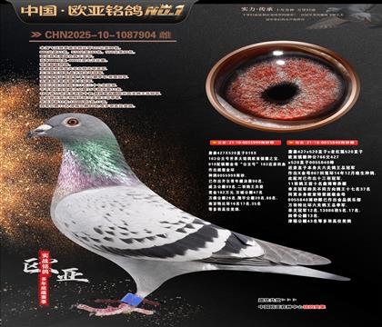 ղɭ919ֱ��999Xղɭ766ֱŮ840