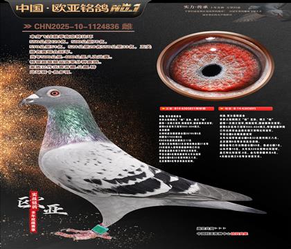 ���ºض���˹ԭ��851X895