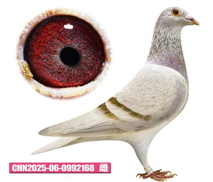 ������-��������168