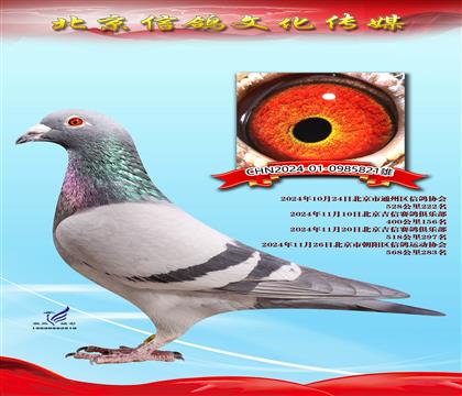 ���¸����ھ���  ��λ񽱸�