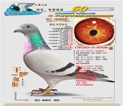 ���ػ��ض�