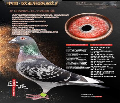 ��˹����ԭ��335X220