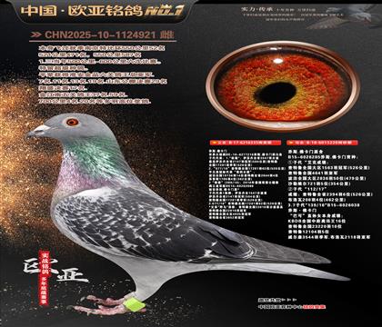 ��˹����ԭ��335X220