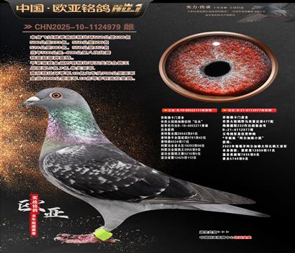 ����ԭ��211X077