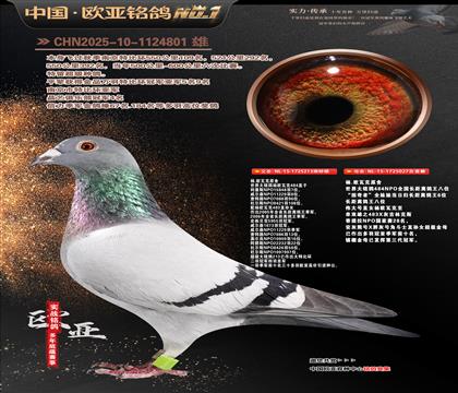 ��.ŷ�߿�ԭ��484ֱ��213X�������ߡ�027