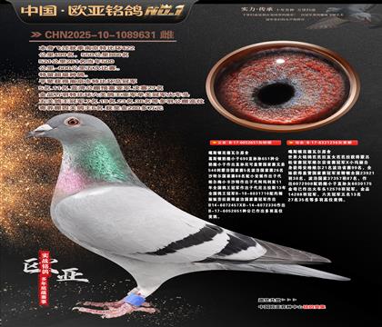 ��˹�ٷ�����ԭ��651X236