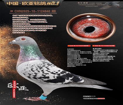 ��.ŷ�߿�ԭ��484ֱ��213X�������ߡ�027