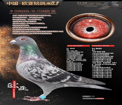 ������ֱ��855X������ֱŮ499