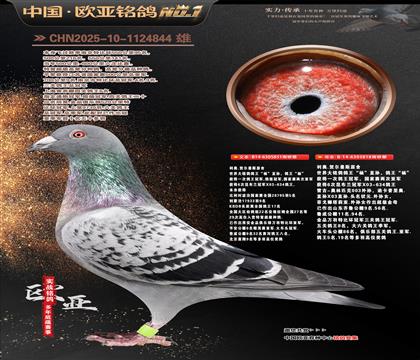 ����ԭ��������851X�������ֱ��818����