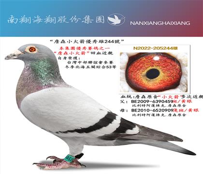 ����롰ղɭС�����244̖�����P�C��53��