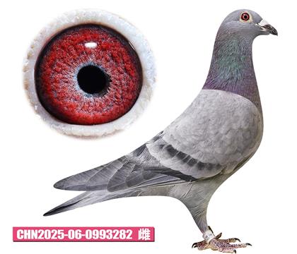 ����-·�׹���282