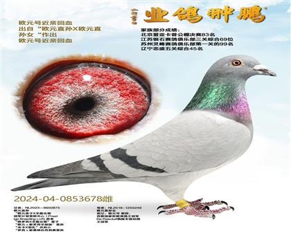 �WԪ̖(h��o)���H��Ѫ