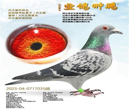 ��������OŮ