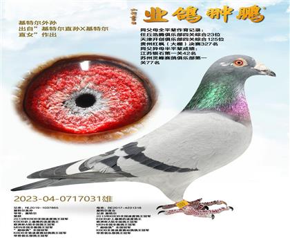 ���ؠ���O