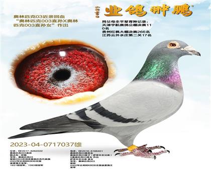 �W��ƥ��03���H��Ѫ