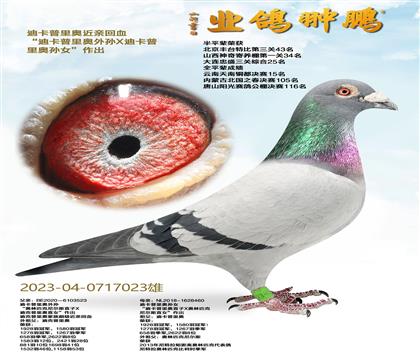 �Ͽ�����W���H��Ѫ