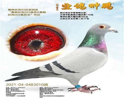 �W��ƥ��03���H��Ѫ