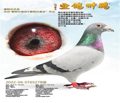 ���ؠ���O