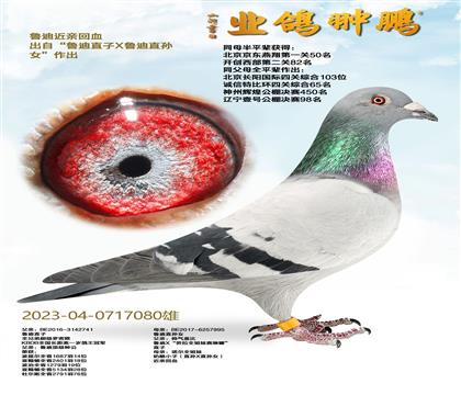 ��?sh��)Ͻ��H��Ѫ