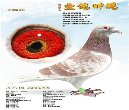 ������ֱ�O