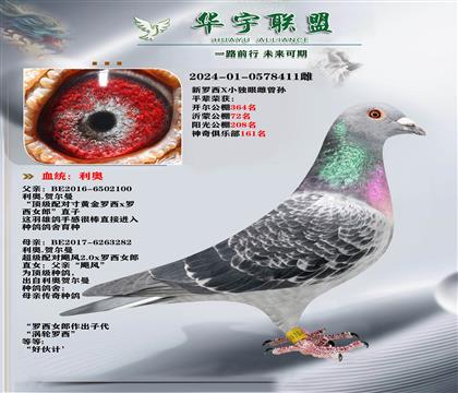 ���� �λ���� ������X���۴�