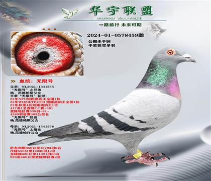 �����˹ ���޺�