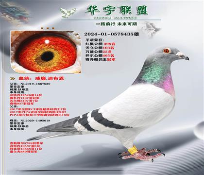 �����ϲ��� ī�ƶ���ֱ��