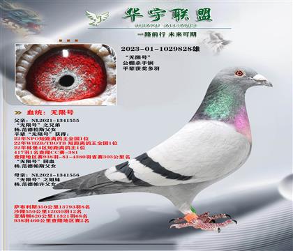 �����˹ ���޺�ȫƽ��