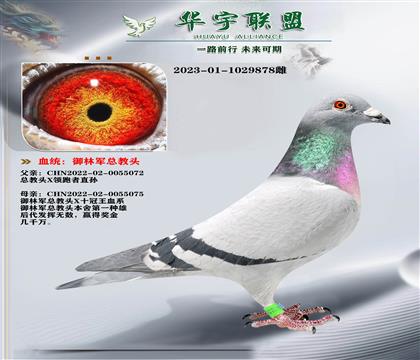 ���־� �ܽ�ͷ������Xʮ����