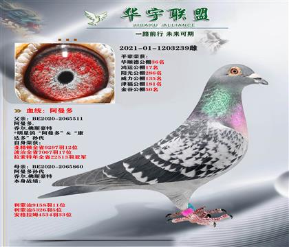 ������ֱ��Xֱ��Ů