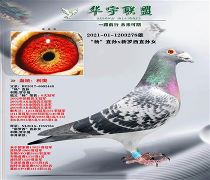 ���� �� ֱ��X���������۴�ֱ��Ů ��ǿ��Ѫ