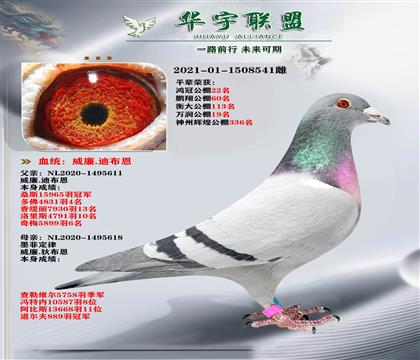 �����ϲ��� ī�ƶ���X�����漣