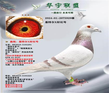 ��������� ���ض����ú��