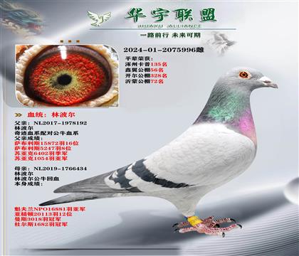 ��ķ �ٶ�֮�� �ֲ���