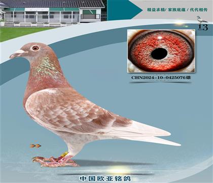 �Ͽ˷��ǲ���ԭ��387X401���ؠ�