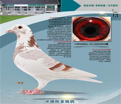 ȫ����܊̩ɽ̖����989X665��ĸ���H