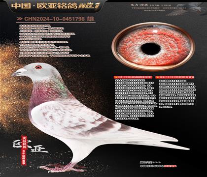 �t�w�Ƚ��H888X�t�w�Ƚ��H999��������